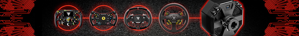 T598 bundles