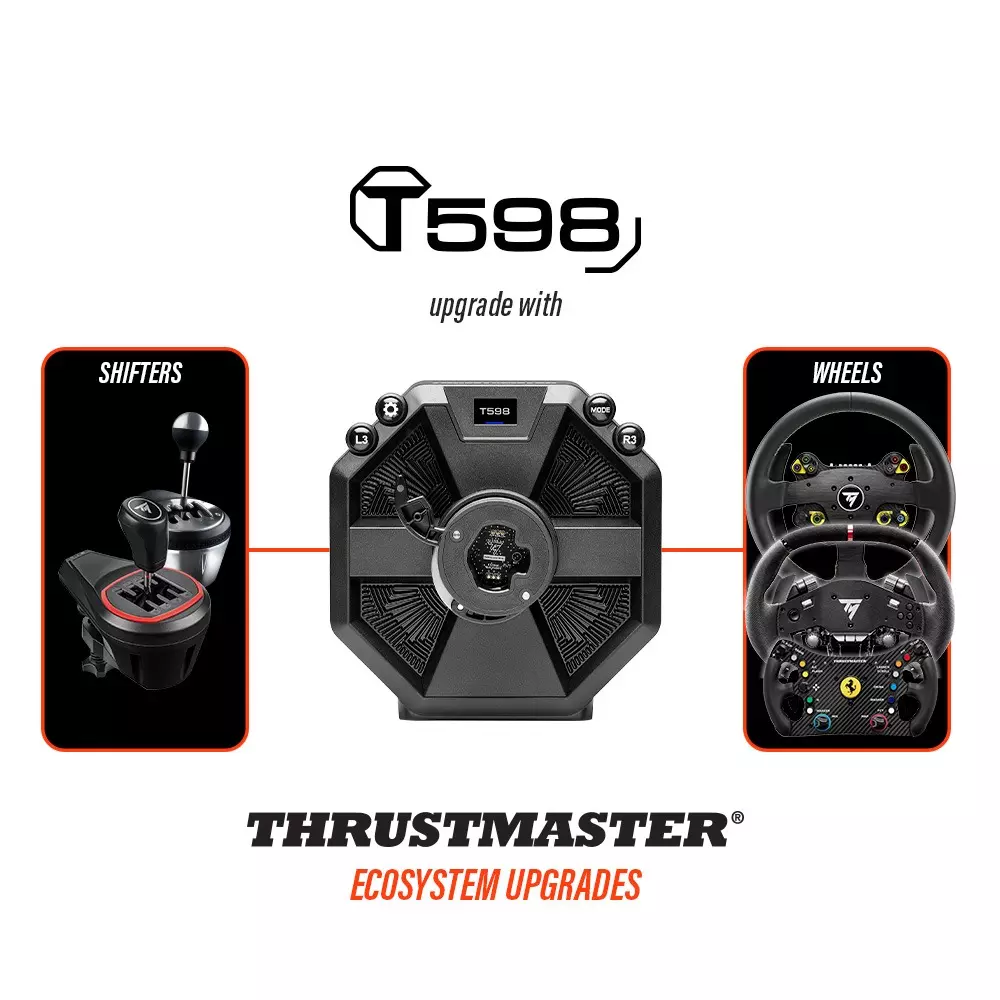 T598 (Playstation / PC)