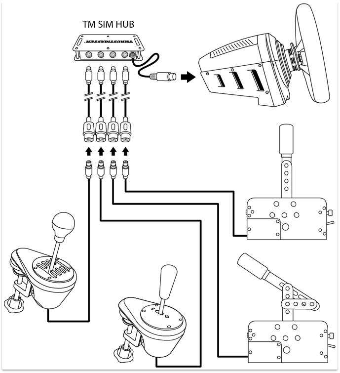 tm_sim_hub_instructions.webp